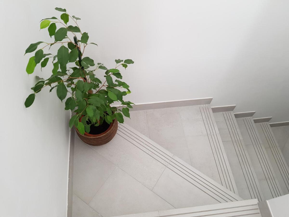 Loft Abantos - 120M2 Mas Terraza Y Jardin Independiente سان لورنزو دي ش الإسكوريال المظهر الخارجي الصورة