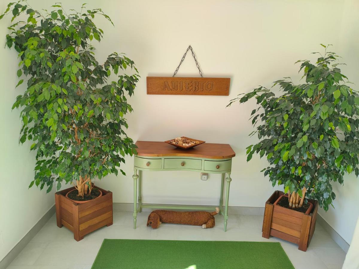 Loft Abantos - 120M2 Mas Terraza Y Jardin Independiente سان لورنزو دي ش الإسكوريال المظهر الخارجي الصورة